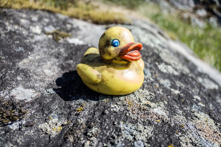 Seeking: The Story of the Ugly Duckling I